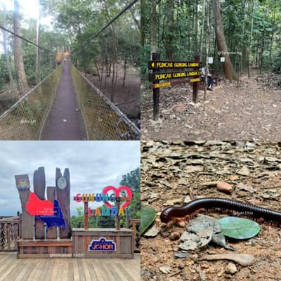 gunung lambak kluang